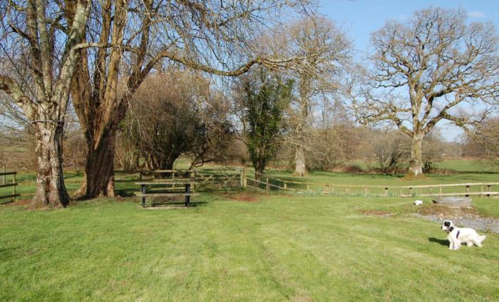The Paddock